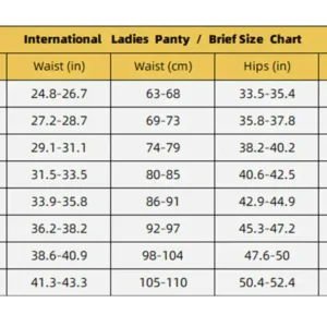 ✨Early Christmas Deal: 70% OFF |KLENIMORE™ 100% Leak-Proof Underwear