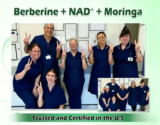 KLENIMORE⢠ðŽðððððð® · ðð²ð¿ð¯ð²ð¿ðð£ð à ððŒð+ ðð-ð¢ð§-ð ðð±ðð®ð»ð°ðð ððð£ð€ ðððð§ð€ð£ðððð¥ð ððððð