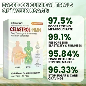 🏆2026 Top-Selling Product of the Year｜Limited-Time 50% Off Offer✨ KLENIMORE™ Fat Activating Microneedle Patches