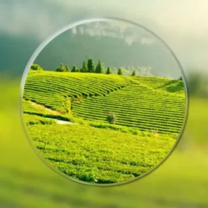 KLENIMORE™ – The glasses that change everything